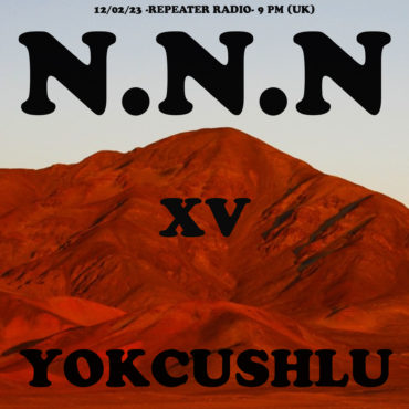 NNN 15 Flyer