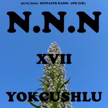 NNN17_FLYER