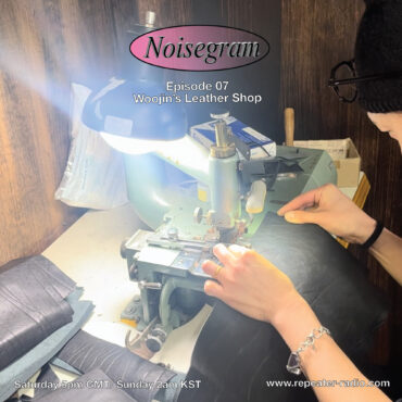 Noisegram 02172024
