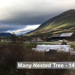 21 Many Nested