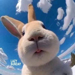 Lazy_Sunday_250623_Repeater_83