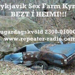 Reykjavik_sex_farm_flyer_133_15.10.23