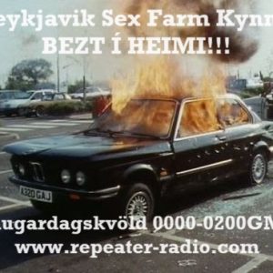 Reykjavik_sex_farm_flyer_137_12.11.23