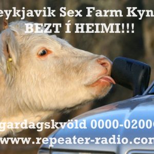 Reykjavik_sex_farm_flyer_140_10.12.23