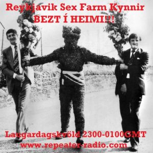 Reykjavik_sex_farm_flyer_81_-_25.06.22