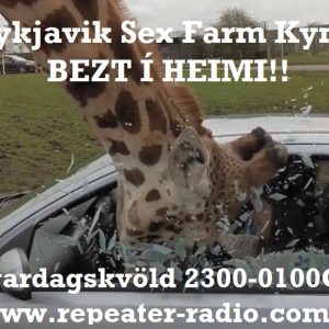 Reykjavik_sex_farm_flyer_84_-_23.07.22