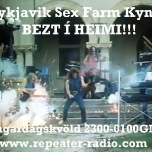 Reykjavik_sex_farm_flyer_89_-_17.09.22