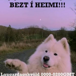 Reykjavik_sex_farm_flyer_96-_06.11.22